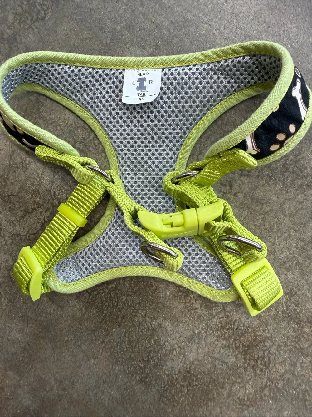 Dog Harness with Lime Trim and Paw & Bone Pattern by Costal